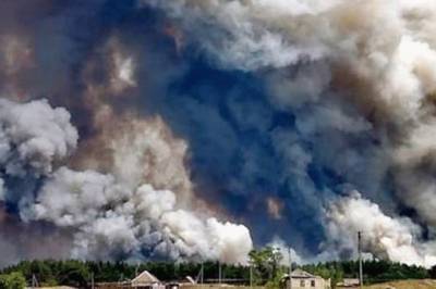 В Луганской области из-за обстрелов террористов вспыхнули мощные лесные пожары