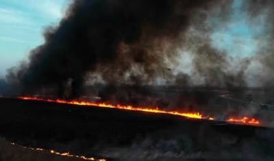В Воронежской области пожары охватили более 320 га