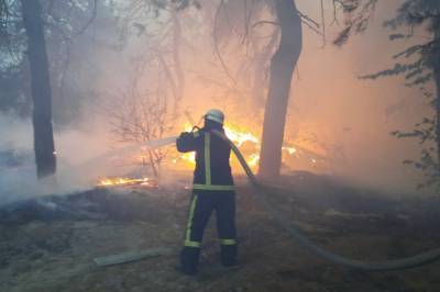 В МВД бросили все силы и авиацию на тушение пожаров в Луганской области и начали расследовать версию поджога