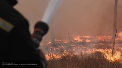 Причиной пожаров в Воронежской области могло стать возгорание ЛЭП