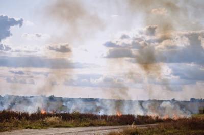 В Воронежской области ввели режим ЧС из-за лесных пожаров