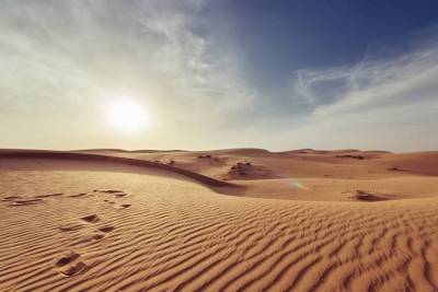 Тест: Какие у вас шансы выжить в жаркой пустыне?