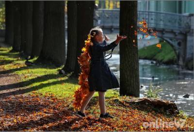 Фото месяца: сентябрь в Ленинградской области глазами фотографа Валентина Илюшина