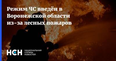 Режим ЧС введён в Воронежской области из-за лесных пожаров