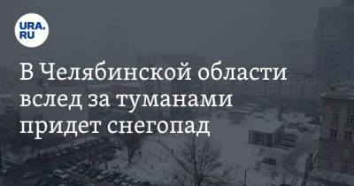 В Челябинской области вслед за туманами придет снегопад