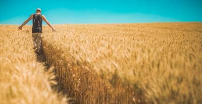 Agrarheute: Украина в критической ситуации на фоне огромного урожая России