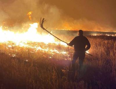 Пожары в Луганской области: девять погибших, эвакуированы около тысячи человек