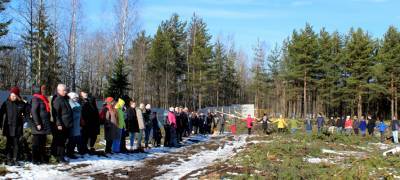 Защитники парка "Каменный бор" в Петрозаводске обжалуют решение апелляционного суда