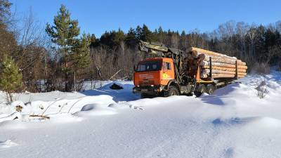 В Финляндии сочли неприятным поручение Путина запретить вывоз древесины