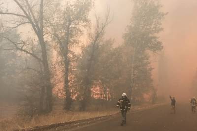 Пожарные потушили один из очагов в Луганской области, всего пламя охватило больше 11 тыс. га леса