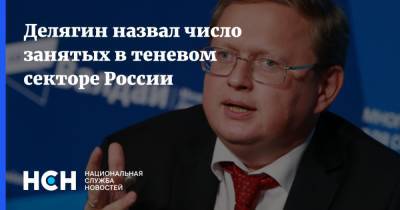 Делягин назвал число занятых в теневом секторе России
