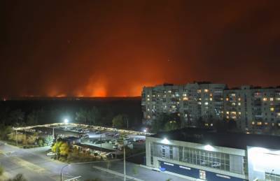 Выросло число погибших в результате пожаров на Луганщине