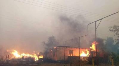 Пожары в Луганской области: погибли восемь человек