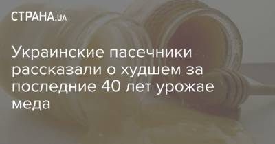 Украинские пасечники рассказали о худшем за последние 40 лет урожае меда