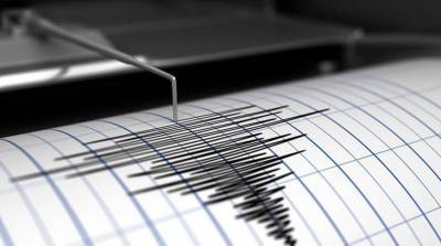 У берегов Папуа-Новой Гвинеи произошло землетрясение магнитудой 6,0