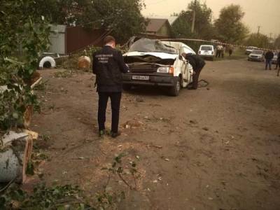 В Ростовской области упавшее на автомобиль дерево убило двух человек