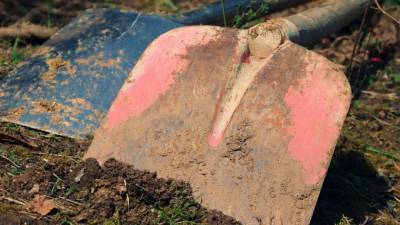 В Саратовской области ревнивый тракторист заставил жену копать себе могилу
