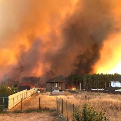 Власти Воронежской области вводят режим ЧС из-за лесных пожаров