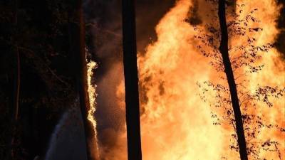 Спасателям не удается справиться с огненной стихией под Воронежом — видео