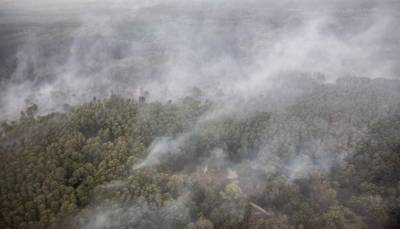 На Луганщине ликвидировали 116 очагов пожаров, 30 продолжают гореть, - МВД