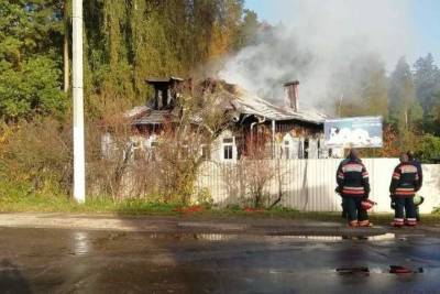 Собачий питомник сгорел в Тверской области