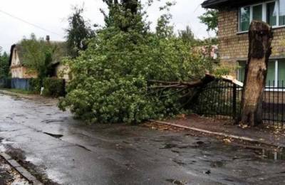 Ураган обрушился на Киев, кадры бедствия: "повалены деревья и..."