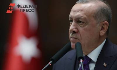 Эрдоган раскритиковал совместное заявление Путина, Трампа и Макрона