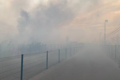 Пожарыв Луганской области: Огонь частично повредил инфраструктуру КПВВ "Станица Луганская"