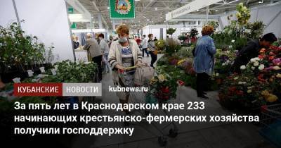 За пять лет в Краснодарском крае 233 начинающих крестьянско-фермерских хозяйства получили господдержку