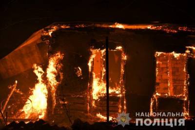 Площадь пожара на Луганщине увеличилась до 11 тысяч гектаров - ГСЧС