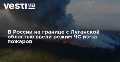 В России на границе с Луганской областью ввели режим ЧС из-за пожаров