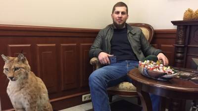 емпиона России по грэпплингу задержали после стрельбы в Петербурге