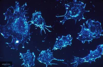 Ученые из РФ нашли эффективный способ доставки лекарств к клеткам рака