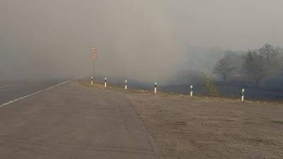В Ростовской области из-за лесного пожара перекрыли трассу