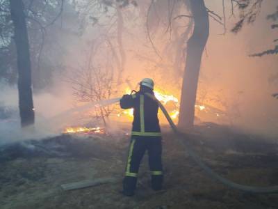 "Я не связывал бы с обстрелами пожары в Луганской области" – Зеленский