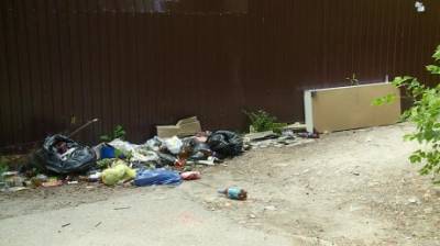 Прокуратура проверила сообщение 11 канала о свалках, мусор вывезен