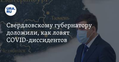 Свердловскому губернатору доложили, как ловят COVID-диссидентов. Куйвашев одобрил