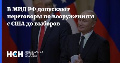 В МИД РФ допускают переговоры по вооружениям с США до выборов