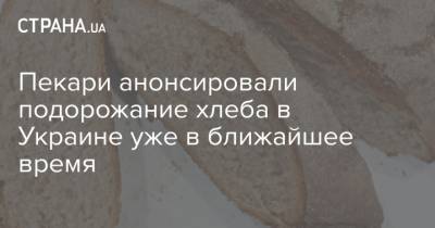 Пекари анонсировали подорожание хлеба в Украине уже в ближайшее время - strana.ua - Украина