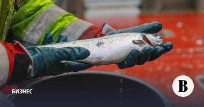 Китай начал ограничивать импорт российской рыбы из-за коронавируса