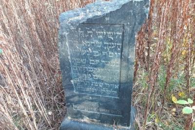 Еврейское кладбище в центре Петрозаводска пришло в запустение
