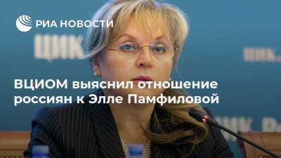ВЦИОМ выяснил отношение россиян к Элле Памфиловой