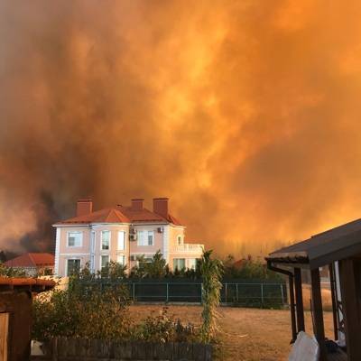 Площадь природных пожаров в Воронежской области увеличилась до 360 ГА