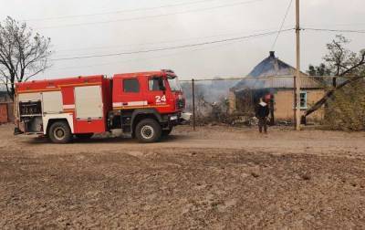 Масштабные лесные пожары в Луганской области: возросло число жертв