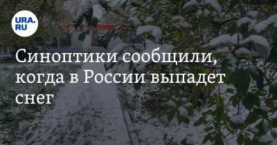 Синоптики сообщили, когда в России выпадет снег