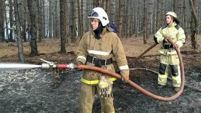 В Ростовской и Воронежской областях бушуют природные пожары