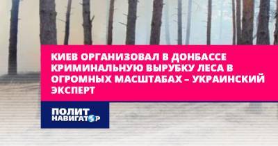 Киев организовал в Донбассе криминальную вырубку леса в огромных...
