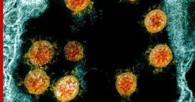 Ученые обнаружили крайне опасную мутацию коронавируса