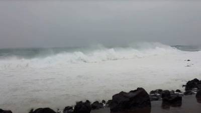 Метеоролог рассказал о ситуации с тайфунами в Приморье