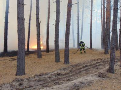 Пожары в Луганской области: люди пытались спасать животных и имущество